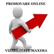 Promovare online, vizibilitate maxima